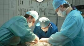 Удаление простаты при раке: операция и реабилитация