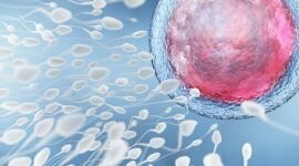 Активность сперматозоидов: диагностика и лекарства для повышения активности