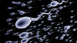 Сгустки в сперме: почему сперма может быть комочками
