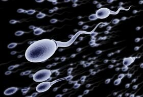 Сгустки в сперме: почему сперма может быть комочками