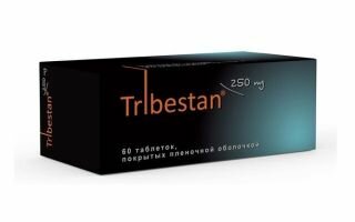 Трибестан: инструкция, отзывы и аналоги таблеток